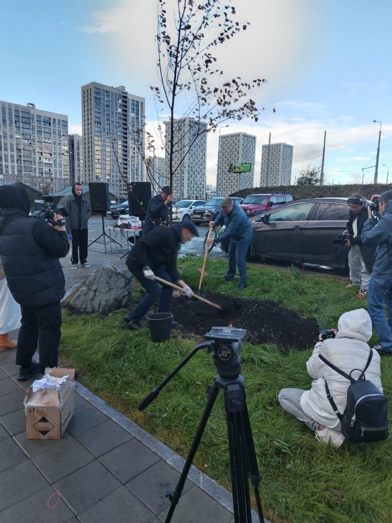 Новости и статьи: В Екатеринбурге на ул. Парина появилась аллея в честь 100-летия планово-экономических органов Свердловской власти - Сарафановский питомник растений.